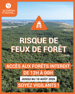 VIGILANCE FEU DE FORET - 10 aout