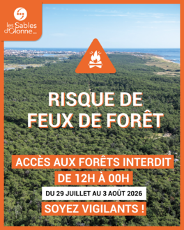 VIGILANCE FEU DE FORET - 29 AU 3 AOUT-