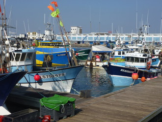 PortPeche_Ponton_Criee